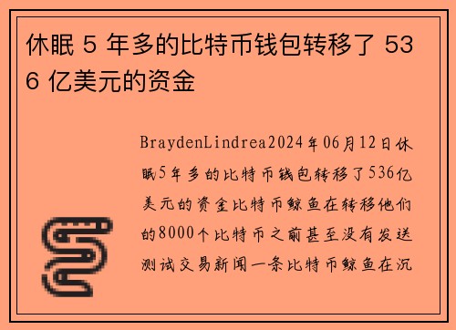 休眠 5 年多的比特币钱包转移了 536 亿美元的资金 